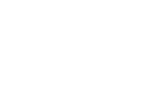 Alinea Group- 300ppi