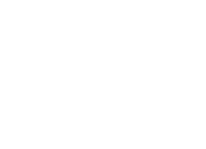 JP Morgan Chase & Co - 300ppi