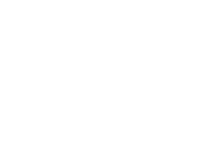 Pepsico - 300ppi